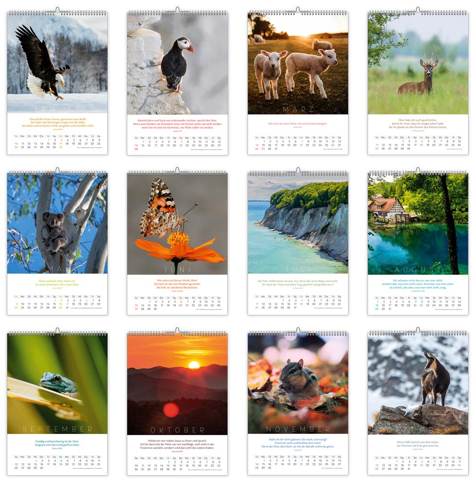 Natur 2027 - Fotokalender