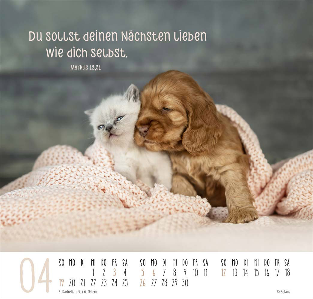 Beste Freunde - Ich mag dich  2026 - Posterkalender