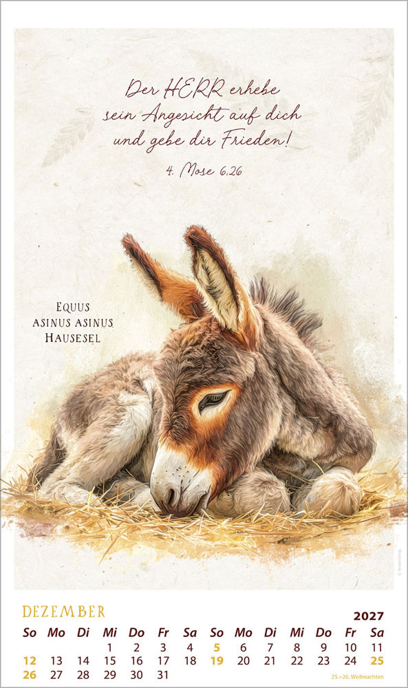 SchmuckStücke des Schöpfers 2027 - Posterkalender