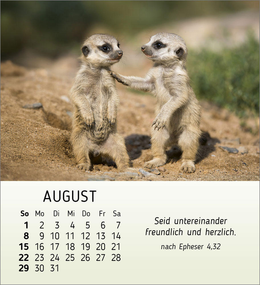 Meine kleinen Freunde 2027