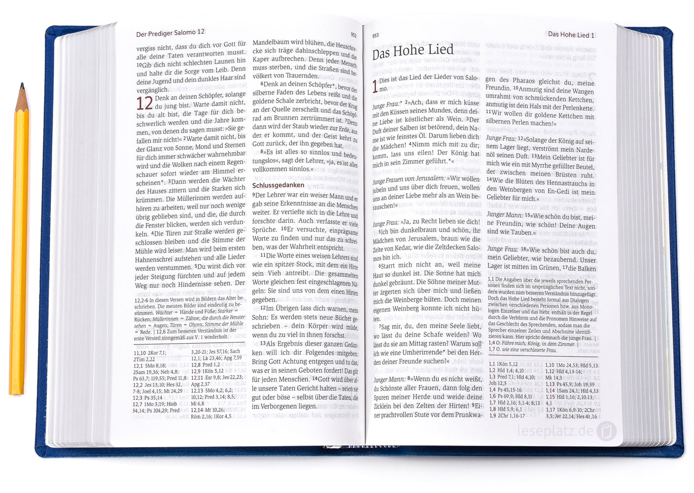 Neues Leben. Die Bibel - Standardausgabe - Leder Blau / Silberschnitt