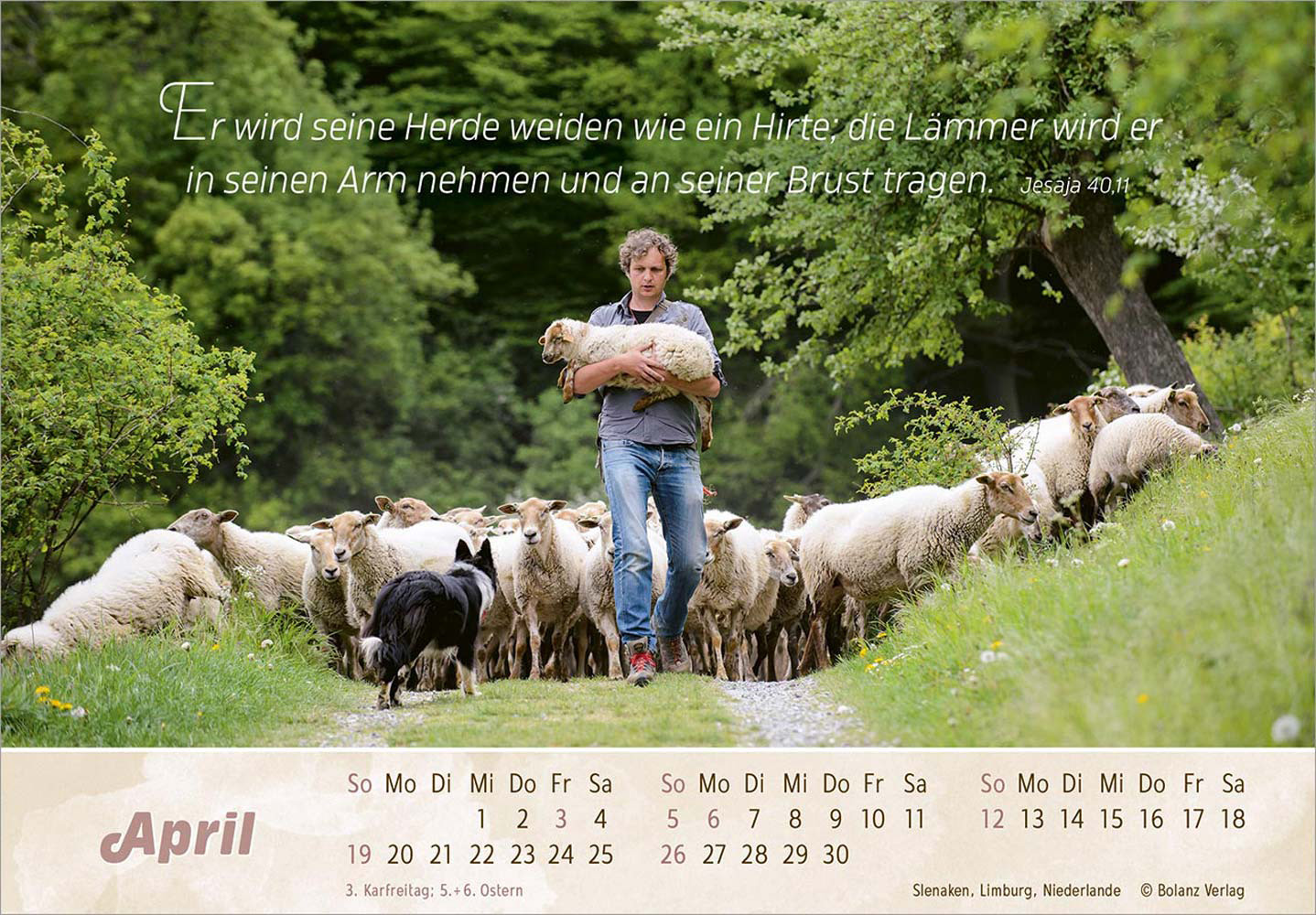 Der Gute Hirte 2026 - Postkartenkalender