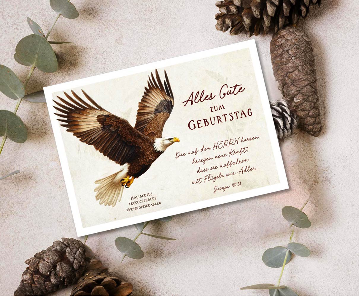 Postkarte "Alles Gute" (Adler)