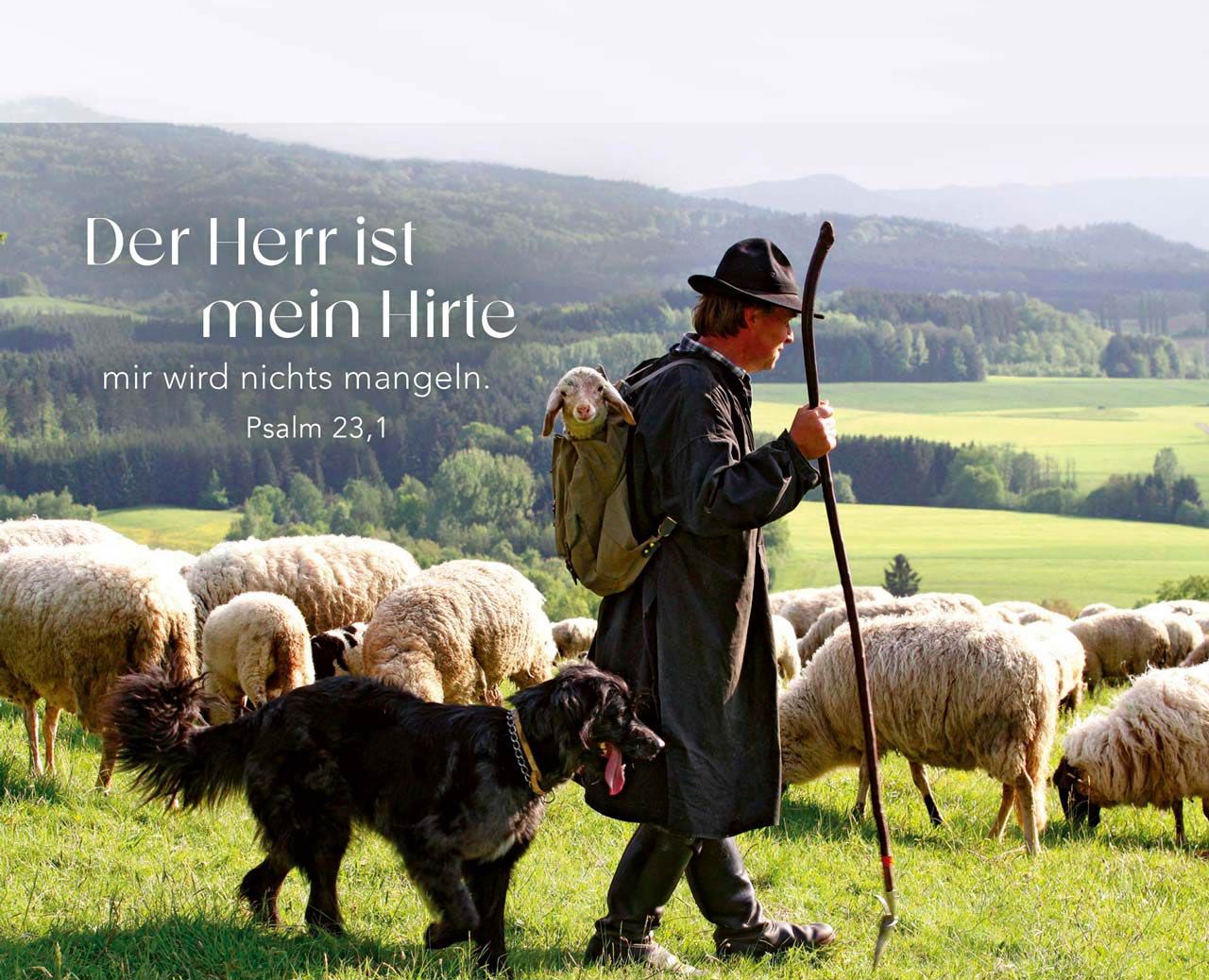 Ich bin bei Dir - Aufstellbuch Ich bin bei Dir - Aufstellbuch
