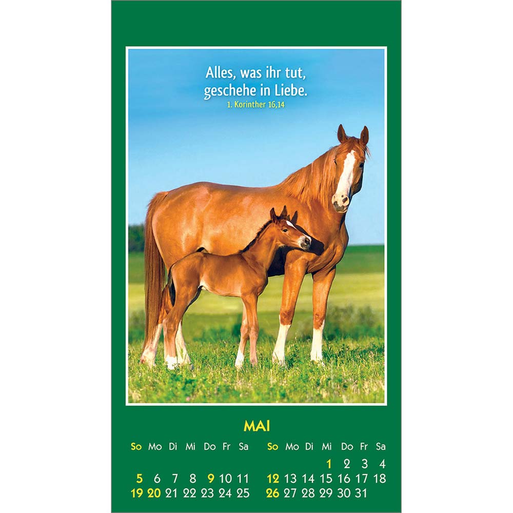 Hallo Du 2024 - Aufkleber-Kalender