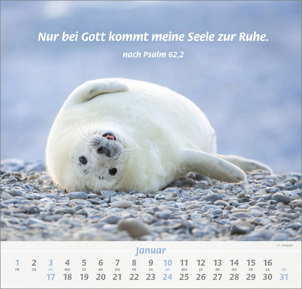 Ich hab dich gern 2027 - Wandkalender