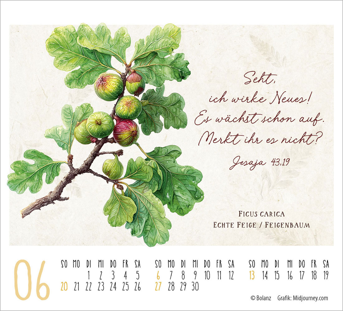 KunstWerke des Schöpfers 2027- Minikalender
