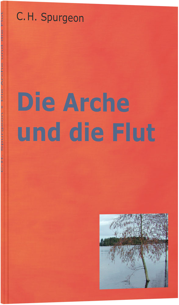 Die Arche und die Flut