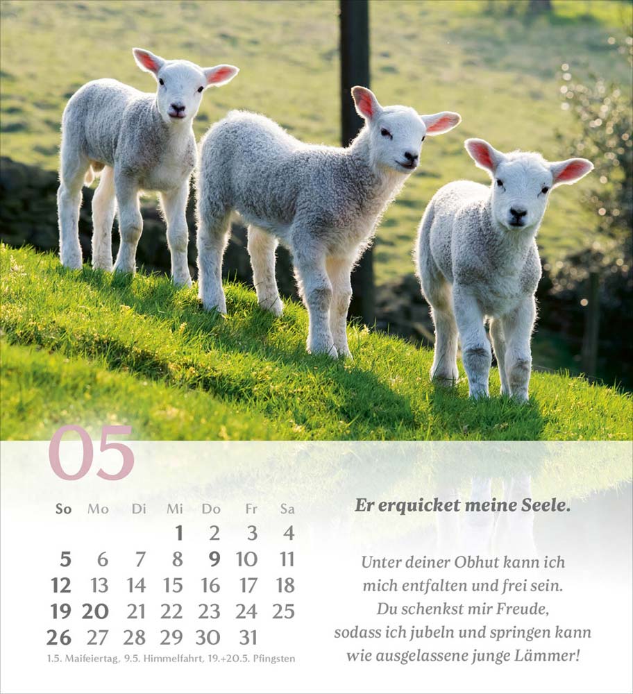 Psalm 23 - Tischkalender 2024 Psalm 23 - Tischkalender 2024