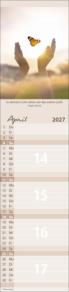 Für Alle 2027 - Streifenterminer