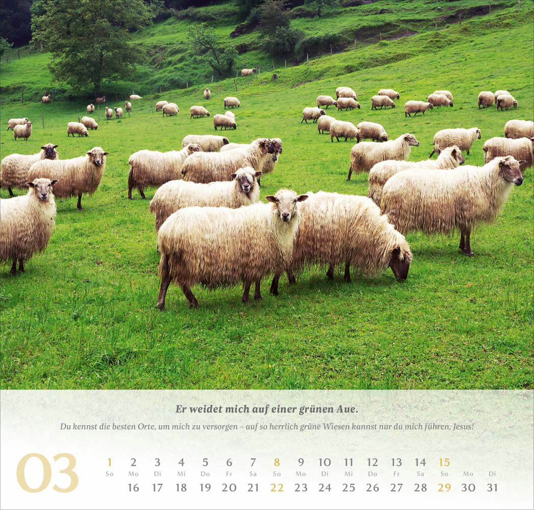 Psalm 23 - Wandkalender 2026
