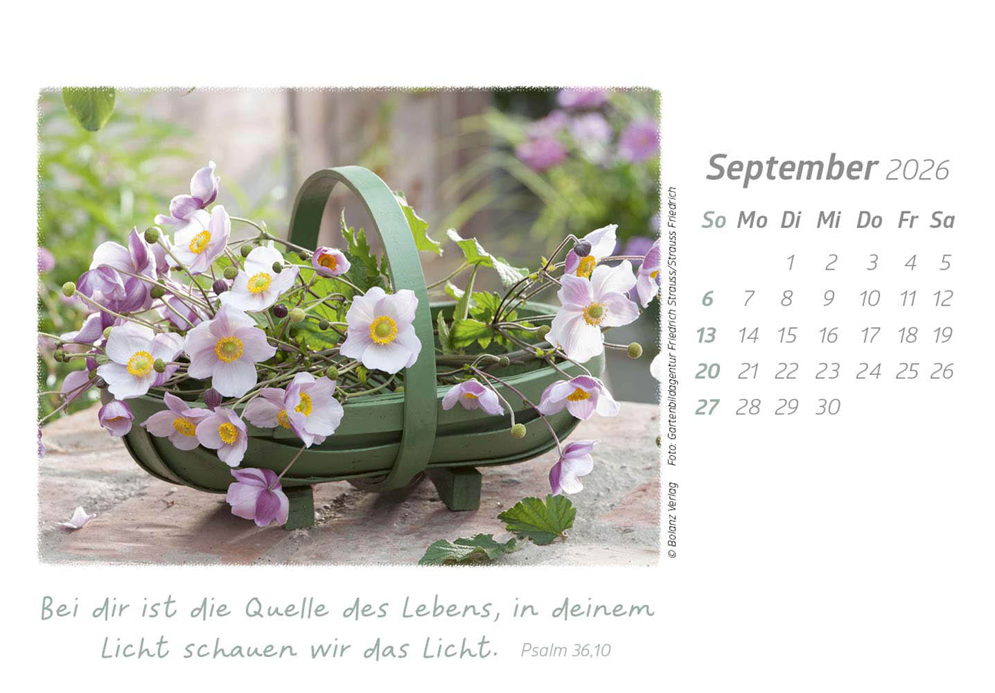 Die Güte Gottes preisen 2026 - Aufstellkalender Die Güte Gottes preisen 2026 - Aufstellkalender