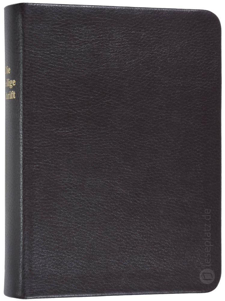 Elberfelder 2003 - gr.Schreibrandausgabe / Leder dunkelbraun Rotgoldschnitt