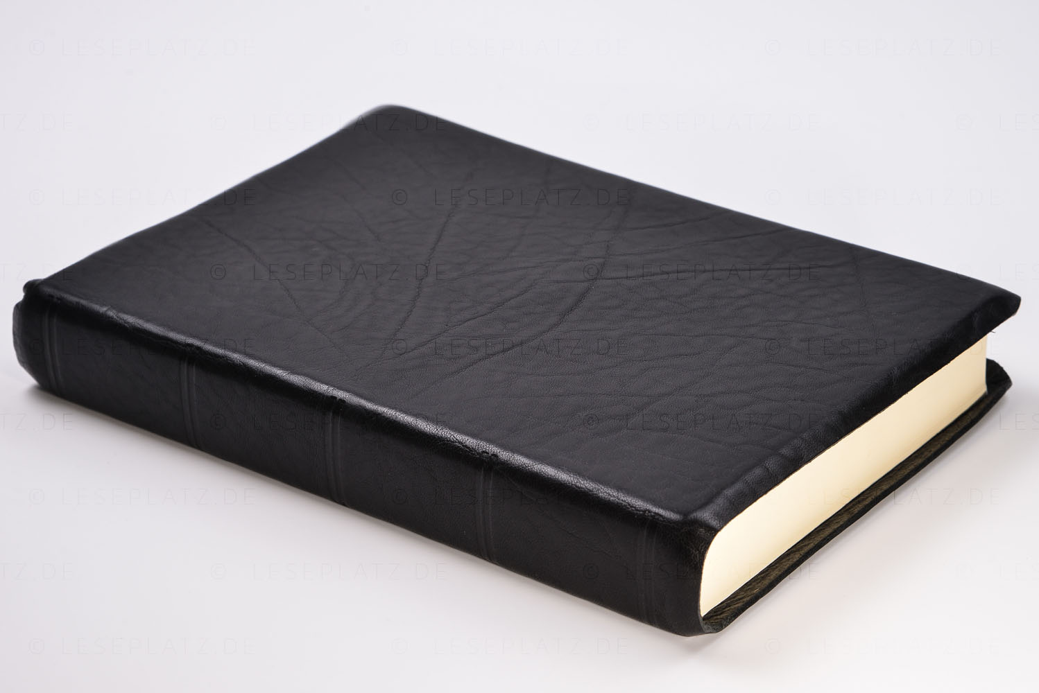 neu-184032_02-neu MacArthur Studienbibel - in Leder gebunden