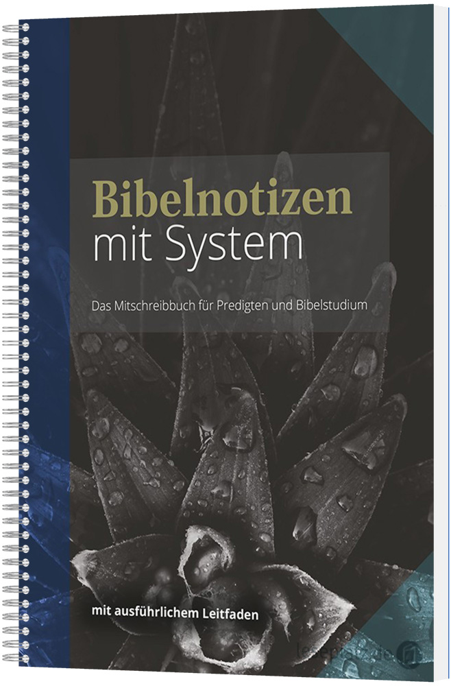 Bibelnotizen mit System