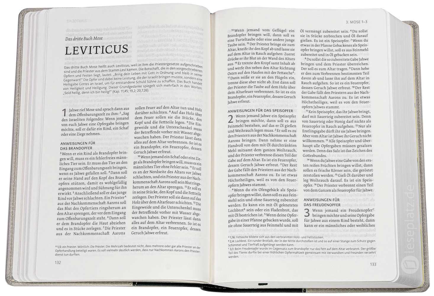 NeÜ - Standardausgabe Kunstleder grün/grau