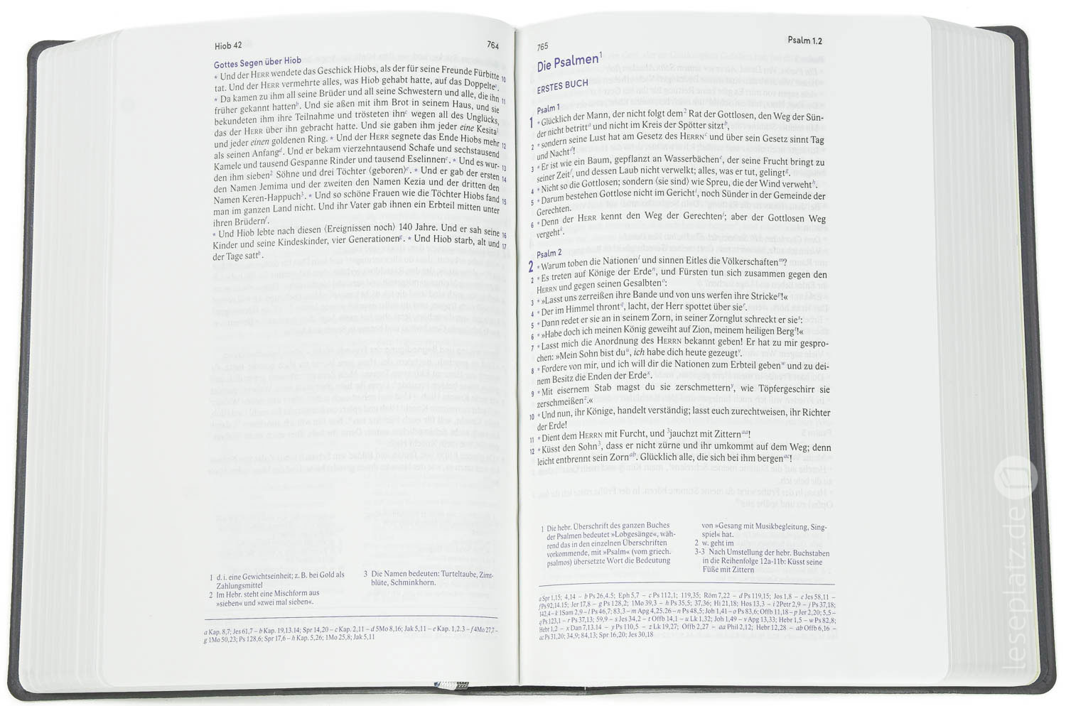 Elberfelder Bibel 2006 mit Schreibrand / Leder grau