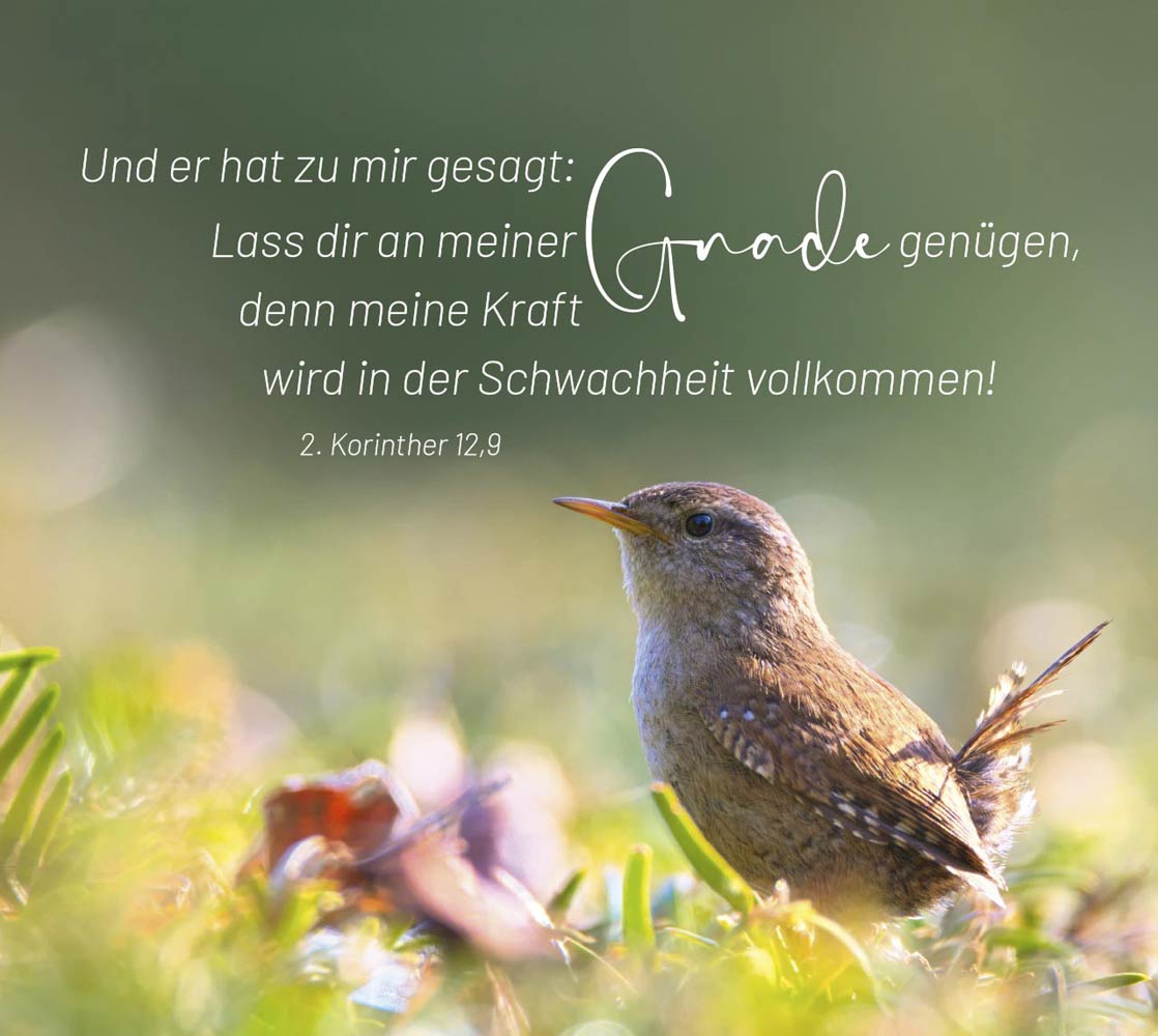 Geborgen in Gottes Hand - Aufstellbuch