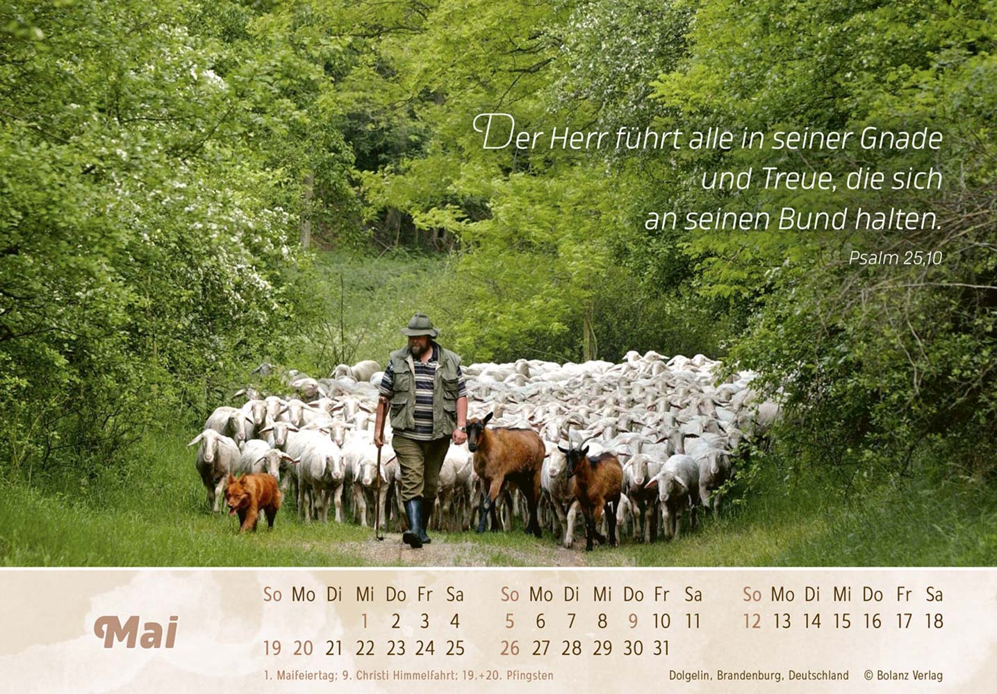 Der Gute Hirte 2024 - Postkartenkalender Der Gute Hirte 2024 - Postkartenkalender