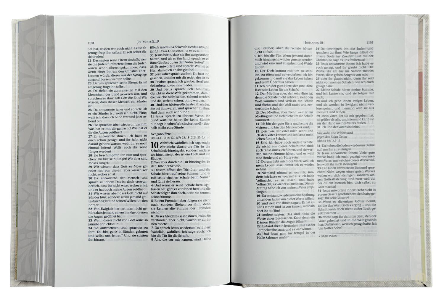Schlachter 2000 Schreibrandausgabe Hardcover / Naturleinen
