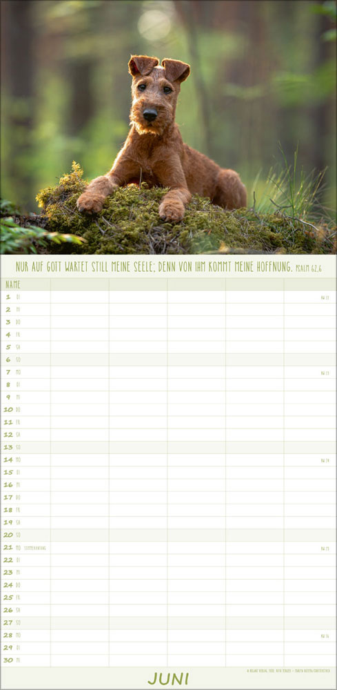 Familienplaner Hunde - 2027