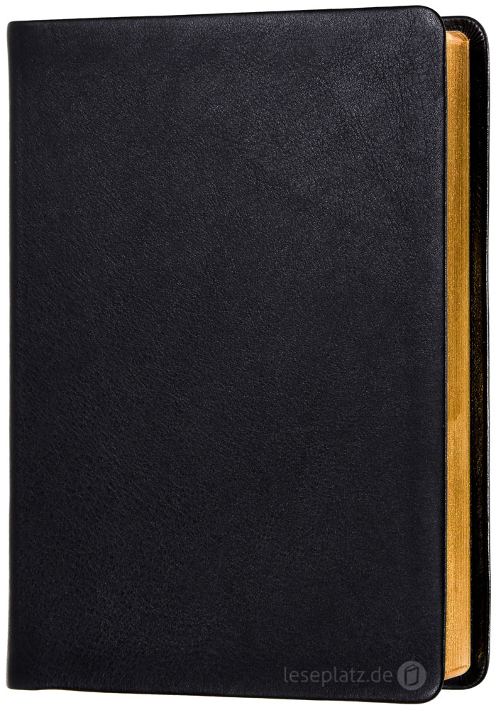 Elberfelder 2003 - kl.Schreibrandausgabe / Rindleder Goldschnitt