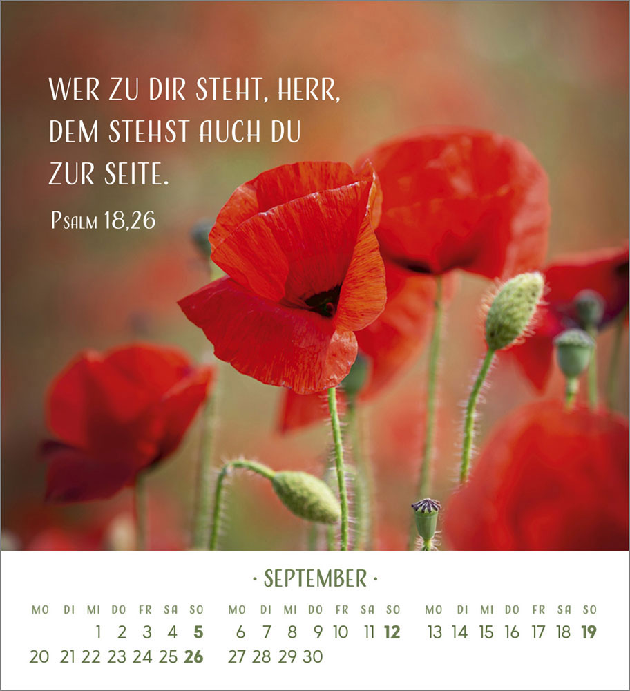 Zarte Blumengrüße 2027 - Tischkalender