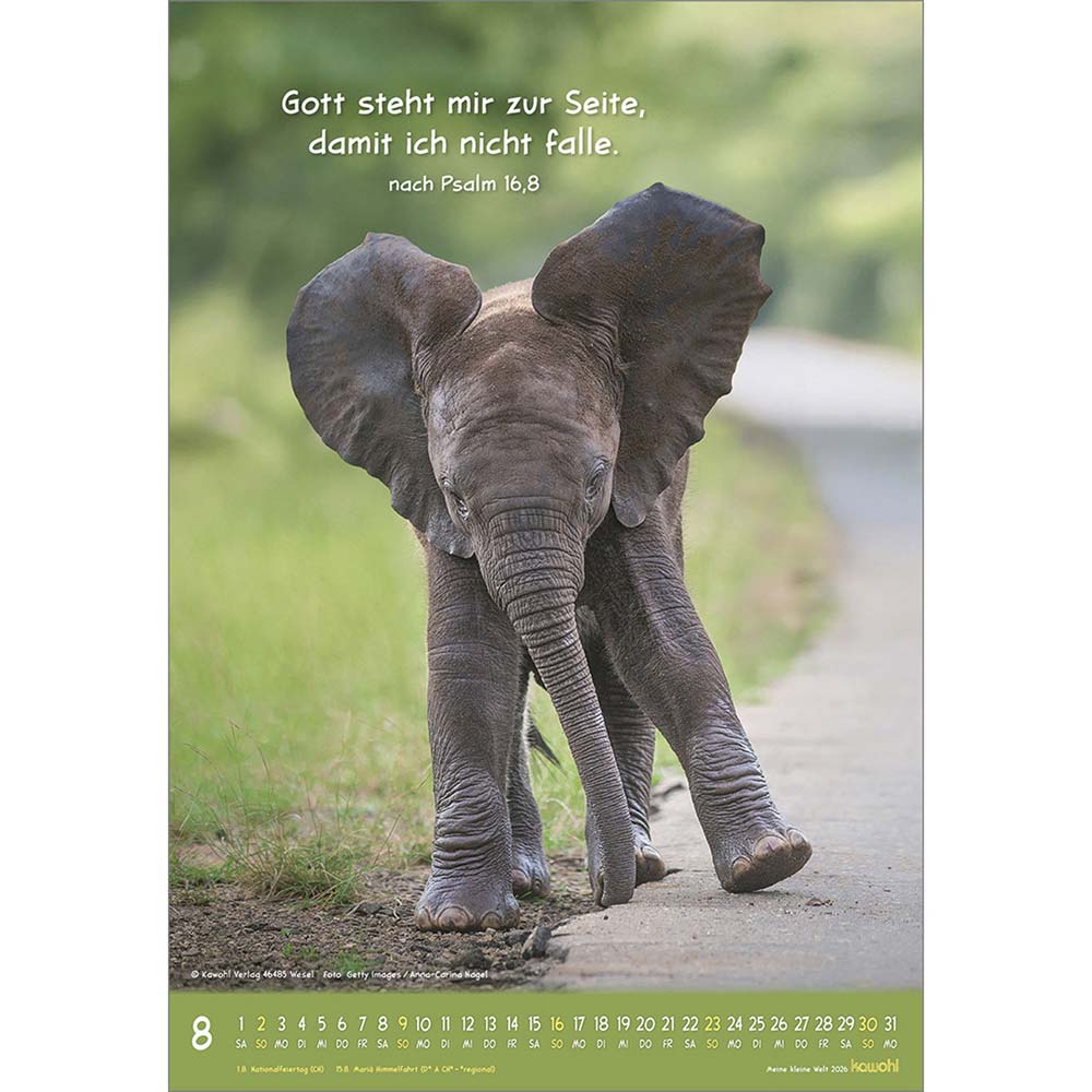 Meine kleine Welt 2026 - Wandkalender