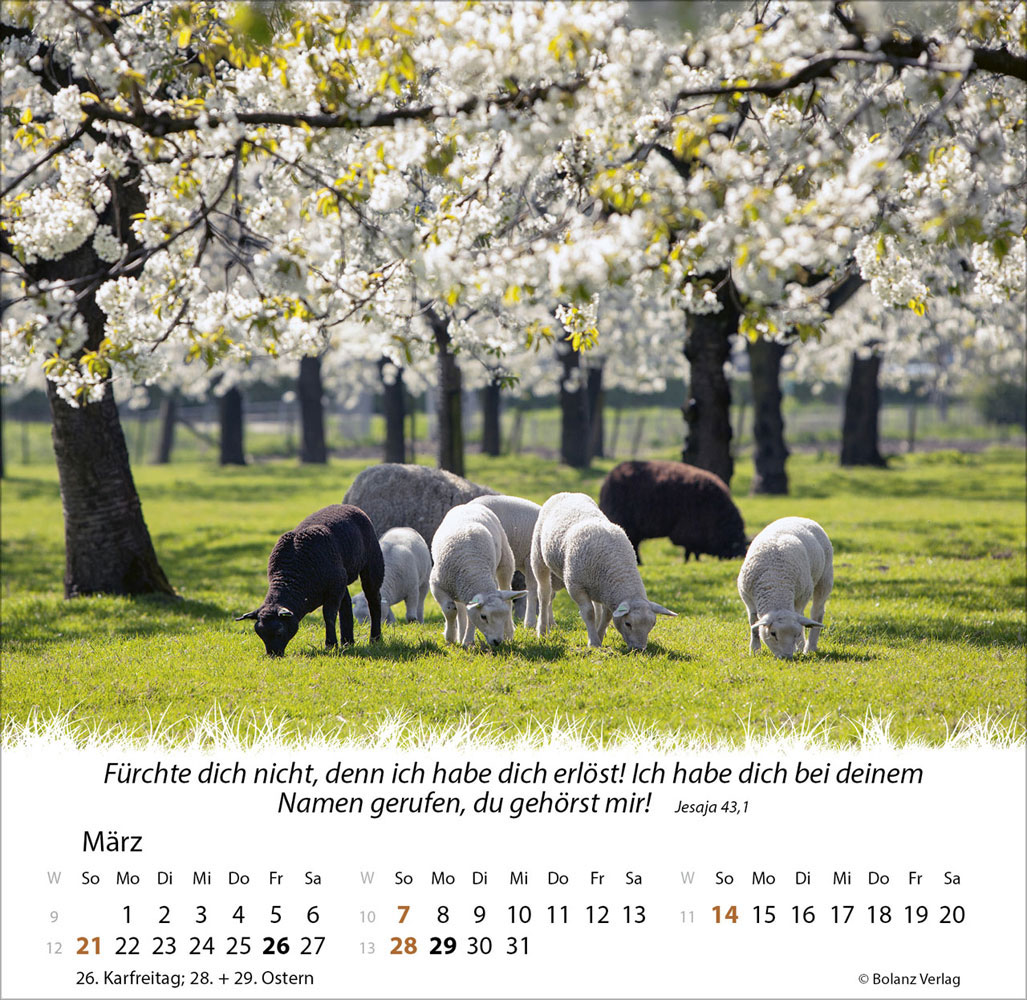 Ein Leben für die Schafe 2027 - Verteilkalender