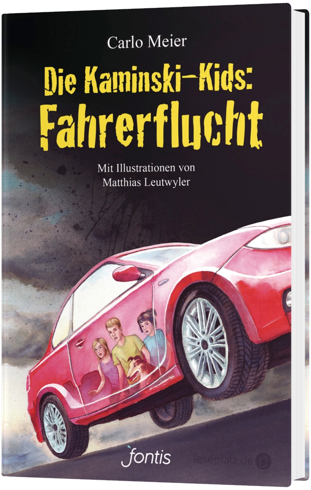 Fahrerflucht (16) - Hardcover