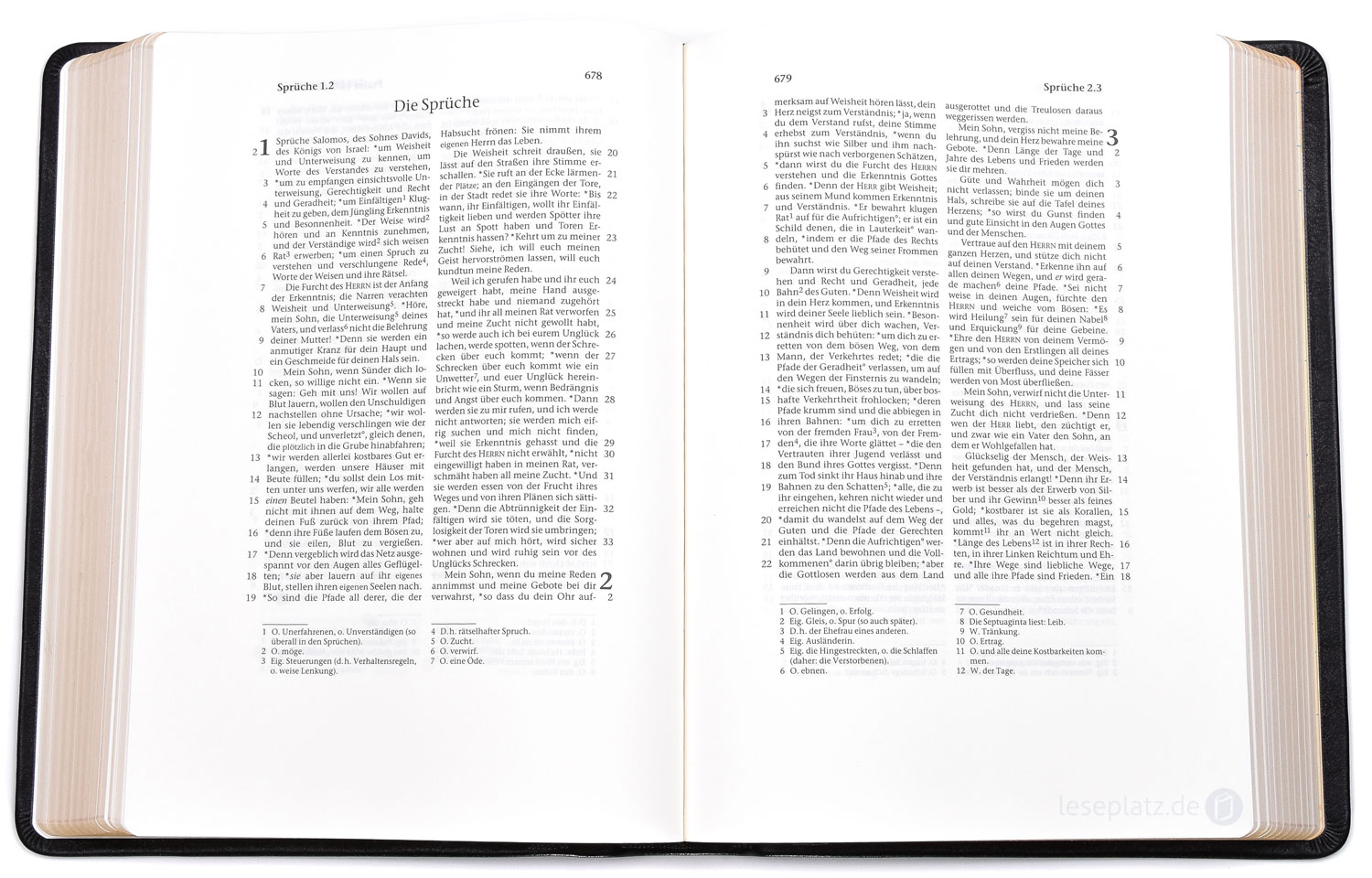 257135_08 Elberfelder 2003 - kl.Schreibrandausgabe / Rindleder Goldschnitt