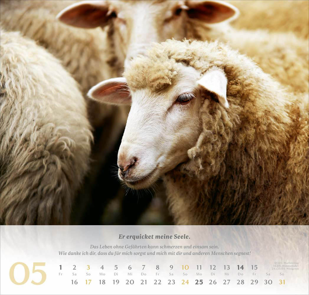 Psalm 23 - Wandkalender 2026