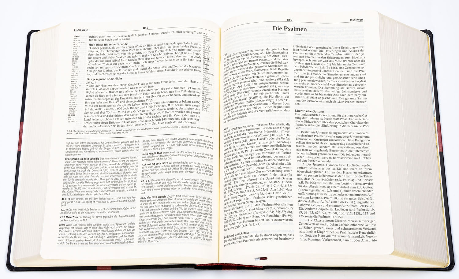 Reformations-Studien-Bibel - Rindspaltleder dunkelblau