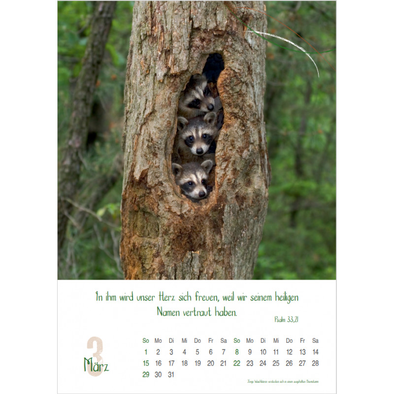Natur 2026 - Fotokalender