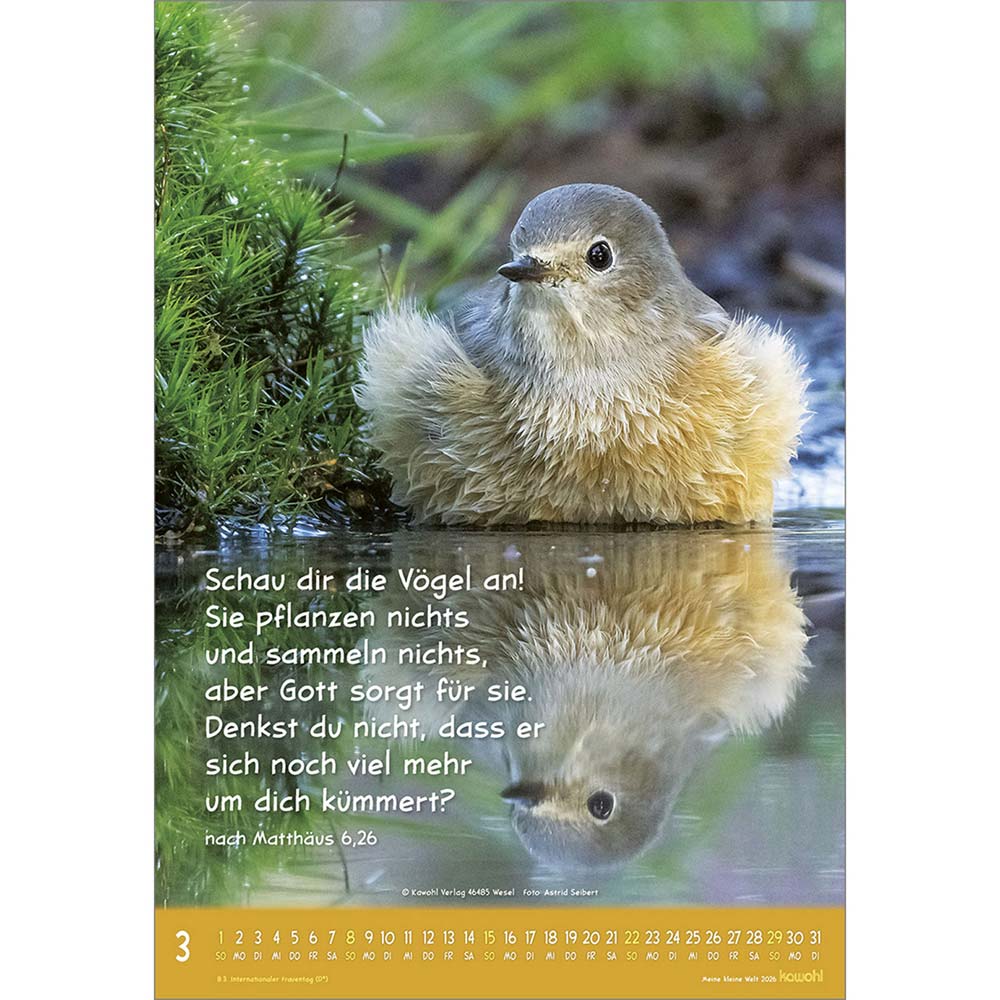 Meine kleine Welt 2026 - Wandkalender