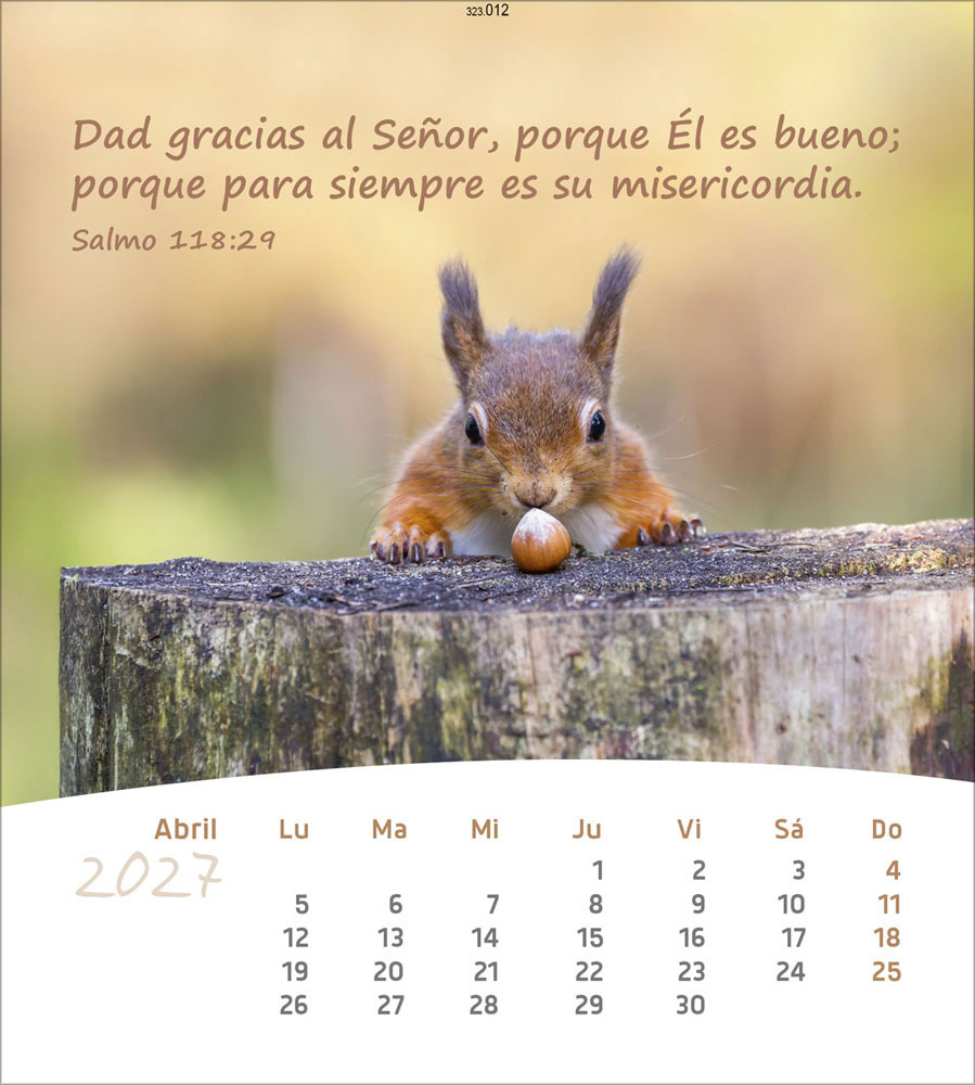 Leben für Dich 2027 - Verteilkalender (Spanisch)
