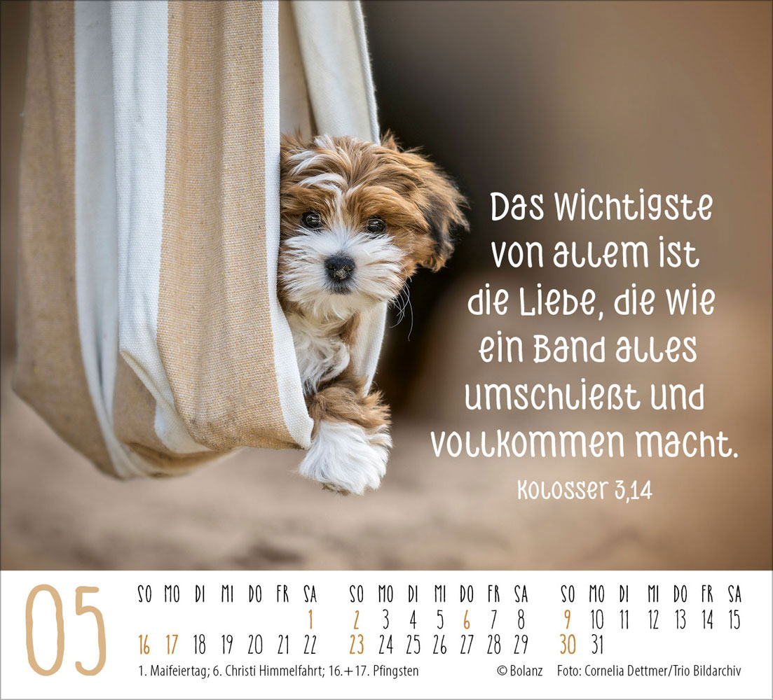 Begegnungen 2027 - Minikalender