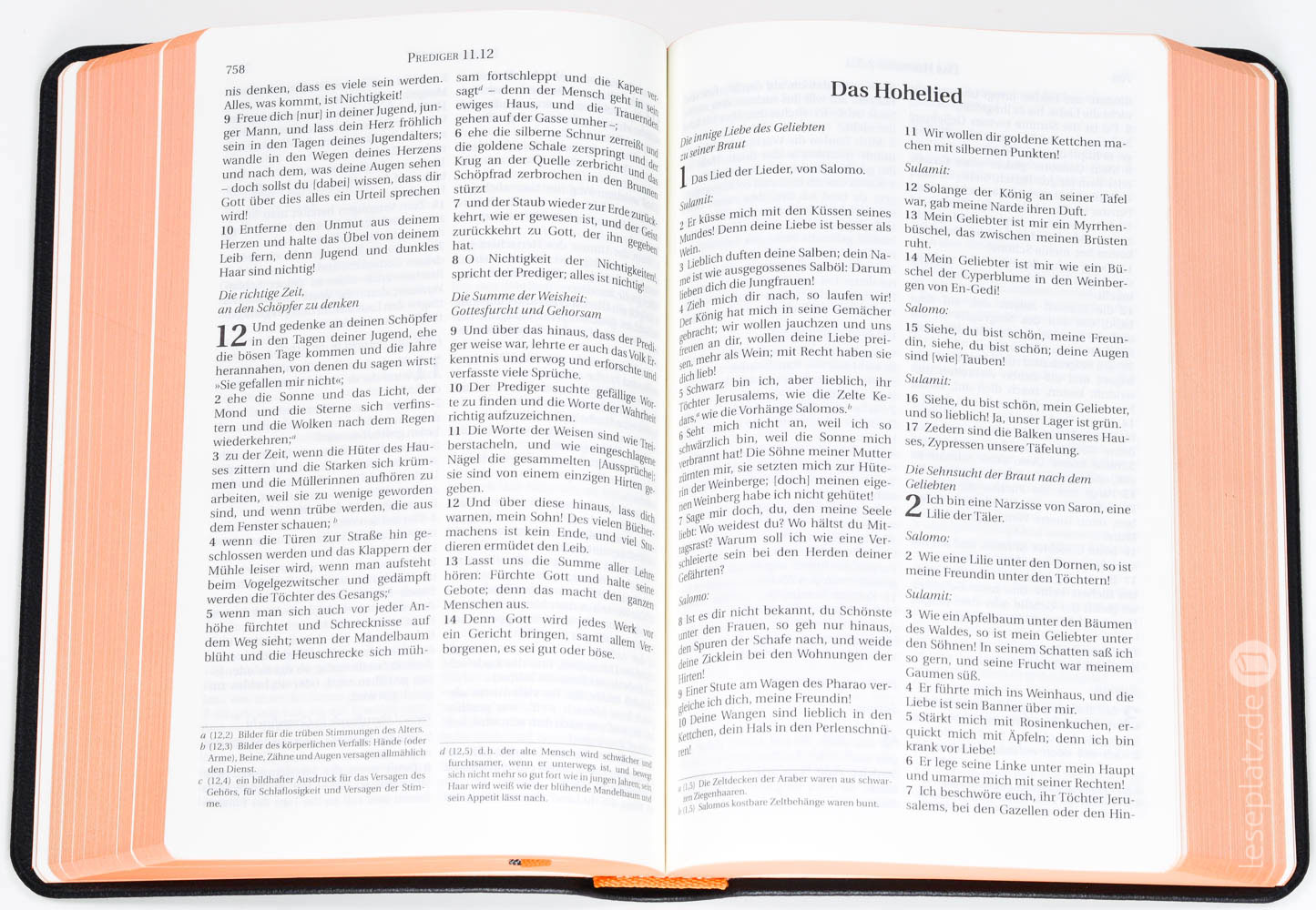 Schlachter 2000 Taschenausgabe - Leder / Farbschnitt