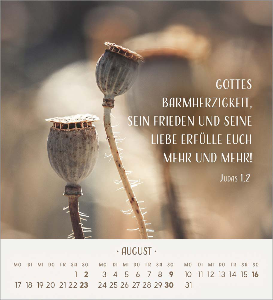 Zarte Blumengrüße 2026 - Tischkalender