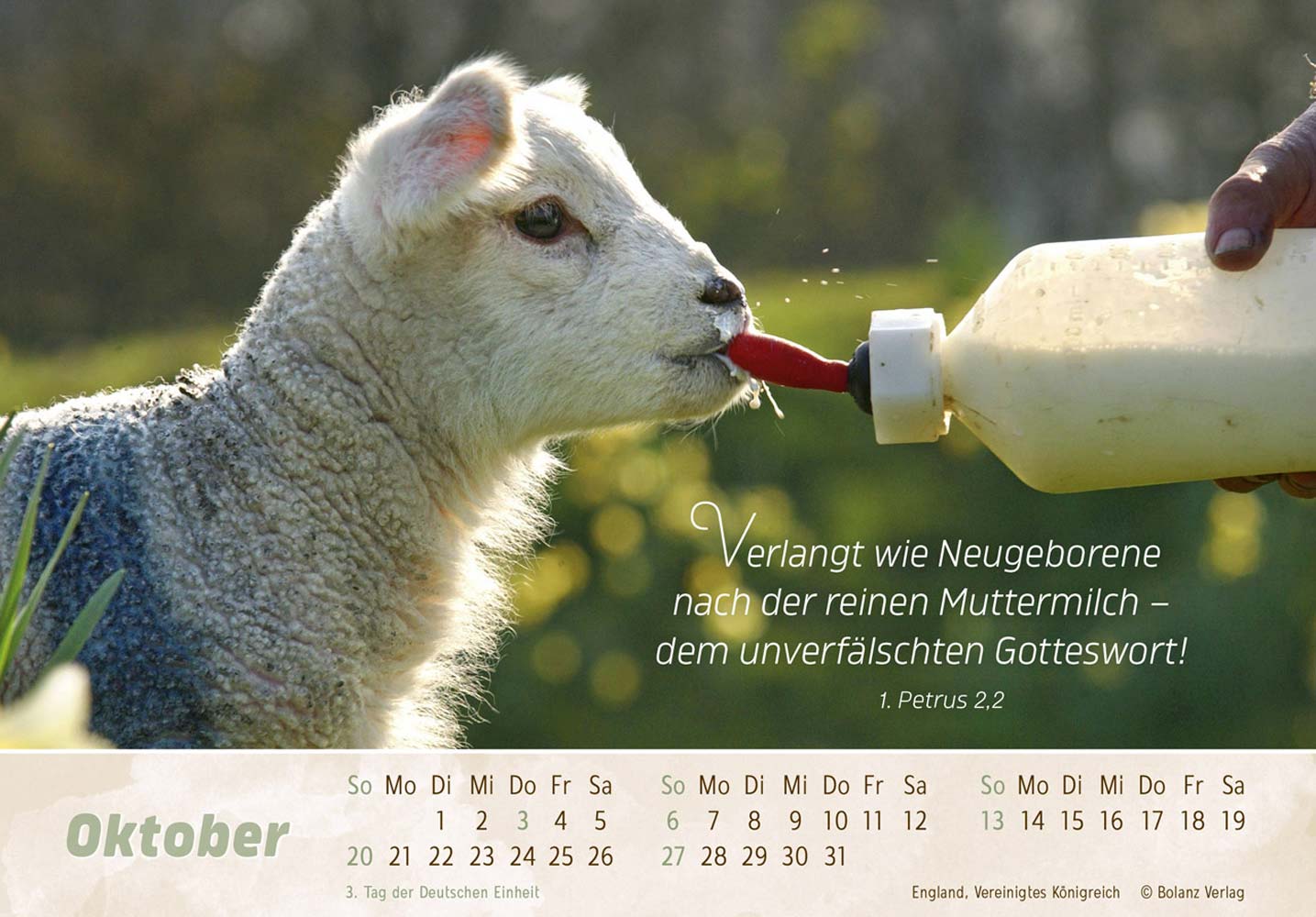 Der Gute Hirte 2024 - Postkartenkalender Der Gute Hirte 2024 - Postkartenkalender