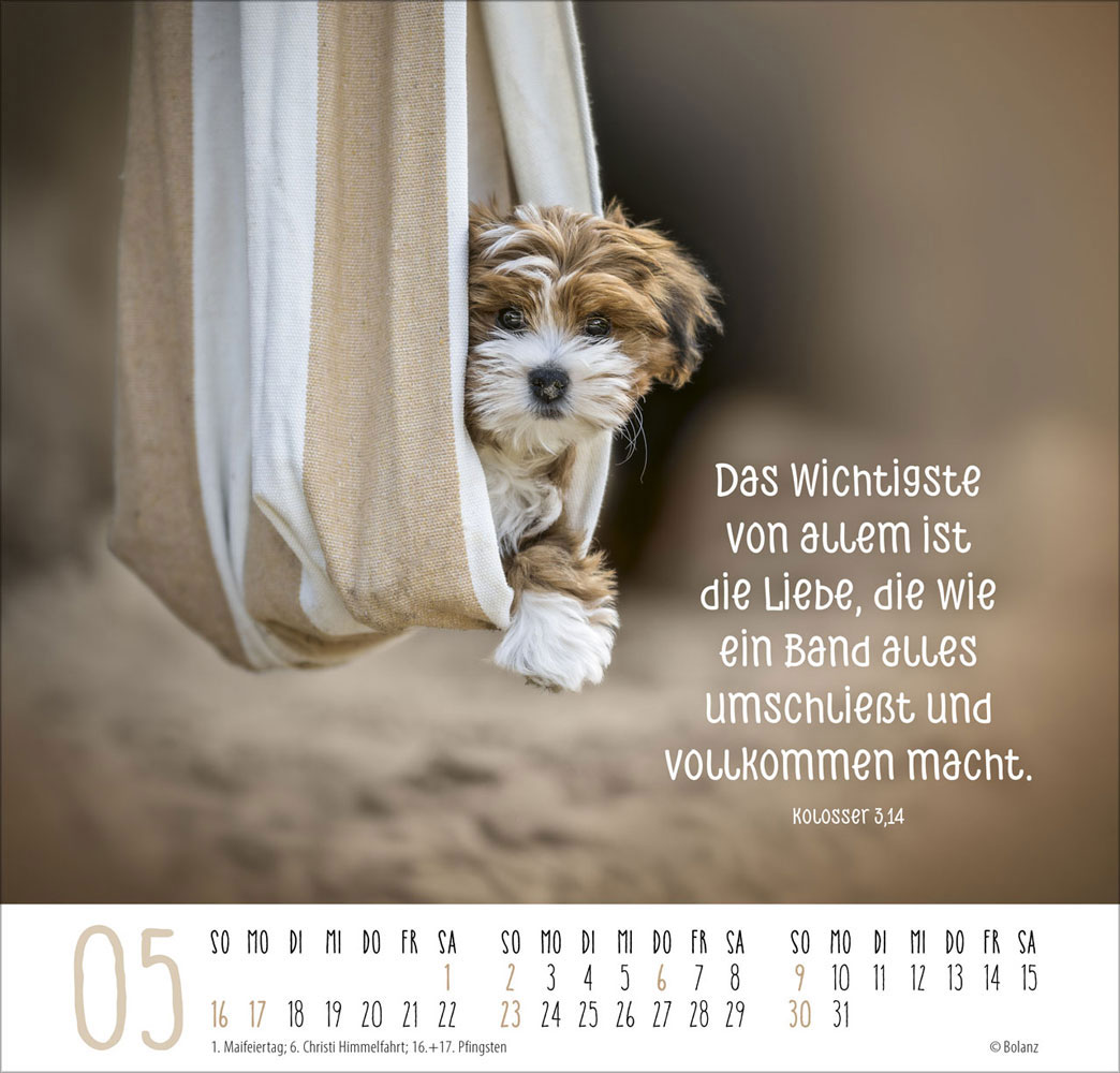 Beste Freunde - Ich mag dich  2027 - Posterkalender