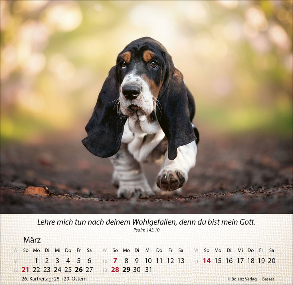 Hunde 2027 - Tischkalender