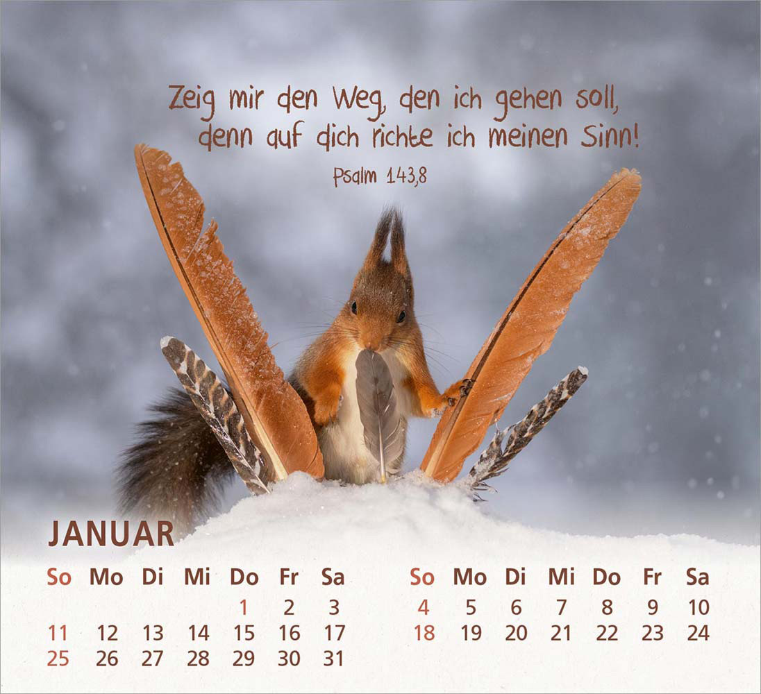 Du bist meine Freude 2026