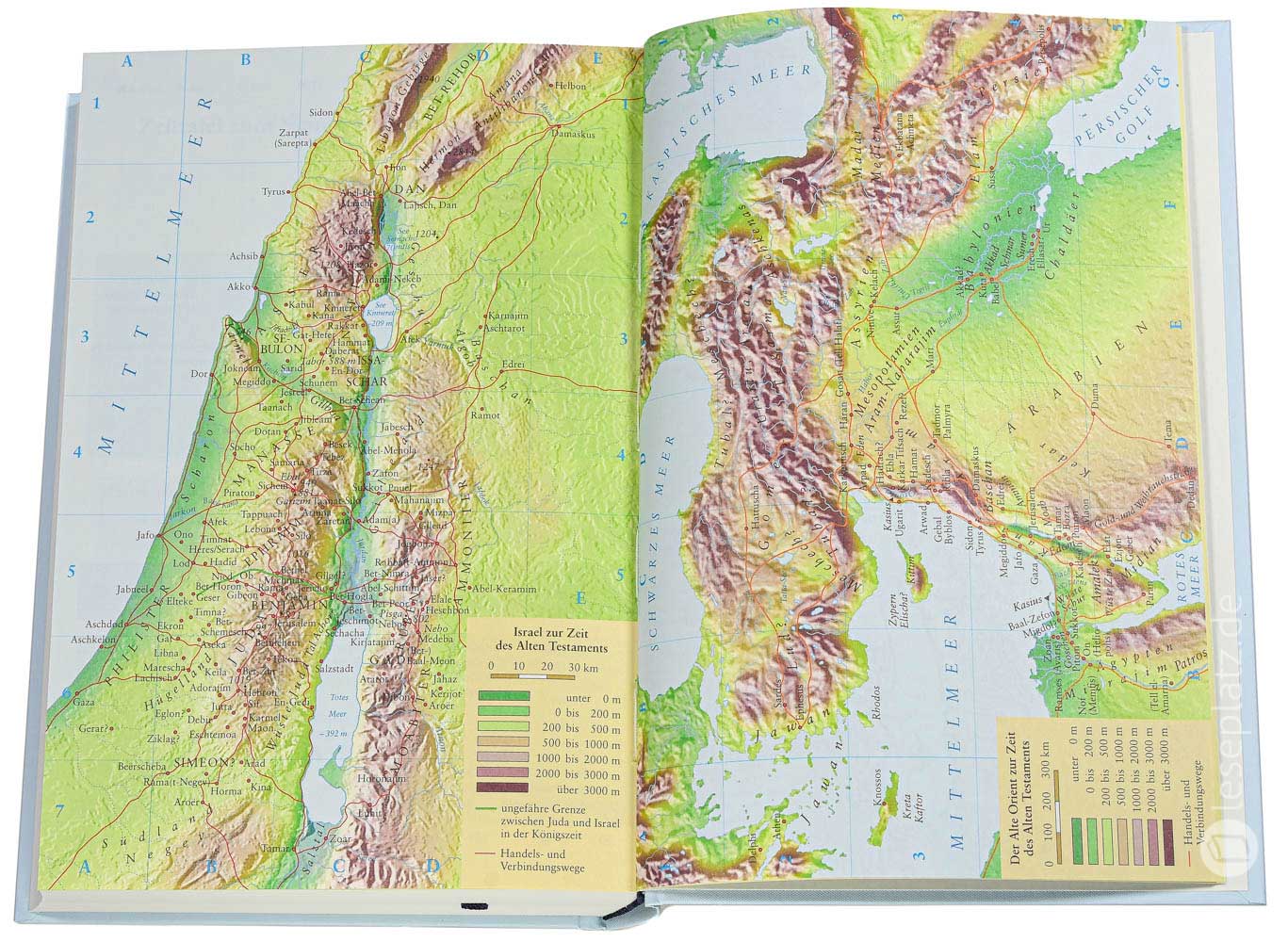 NeÜ - Standardausgabe "Motiv Blume"