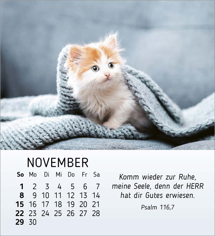 Meine kleinen Freunde 2026