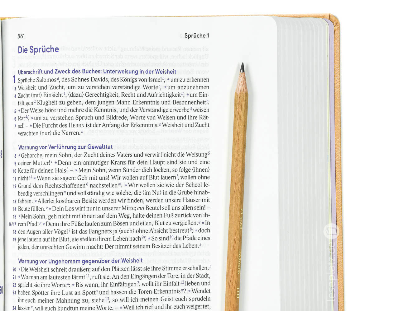 Elberfelder Bibel 2006 mit Schreibrand / Kunstleder