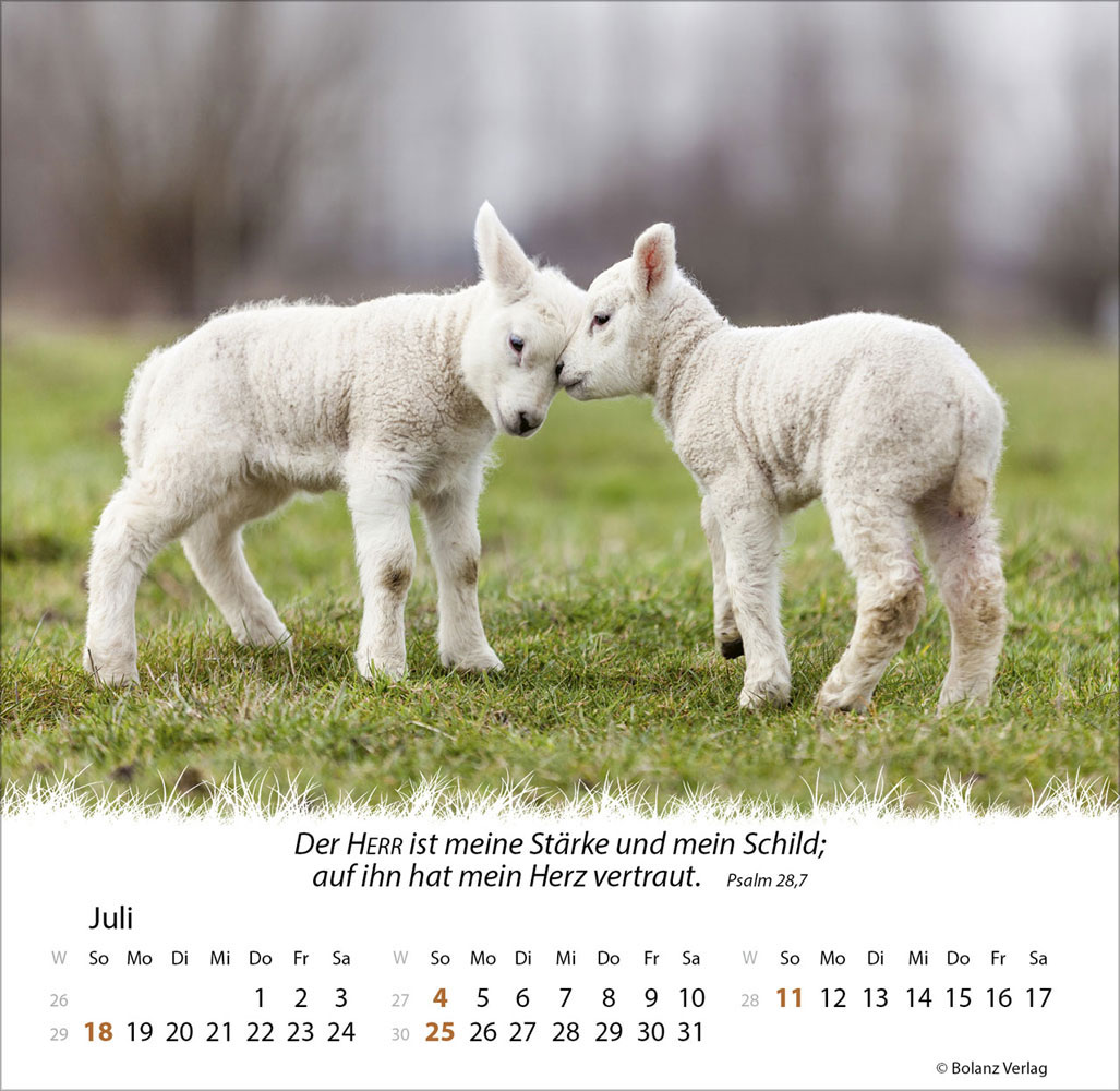 Ein Leben für die Schafe 2027 - Verteilkalender