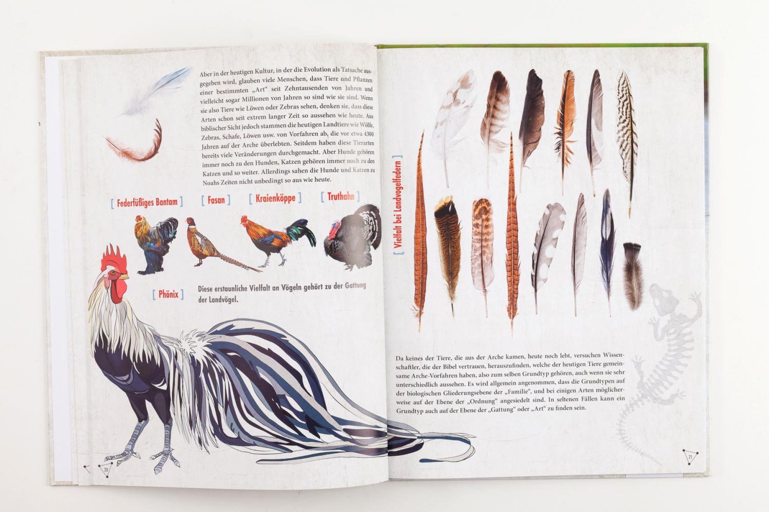 Wie viele Tiere waren in der Arche?