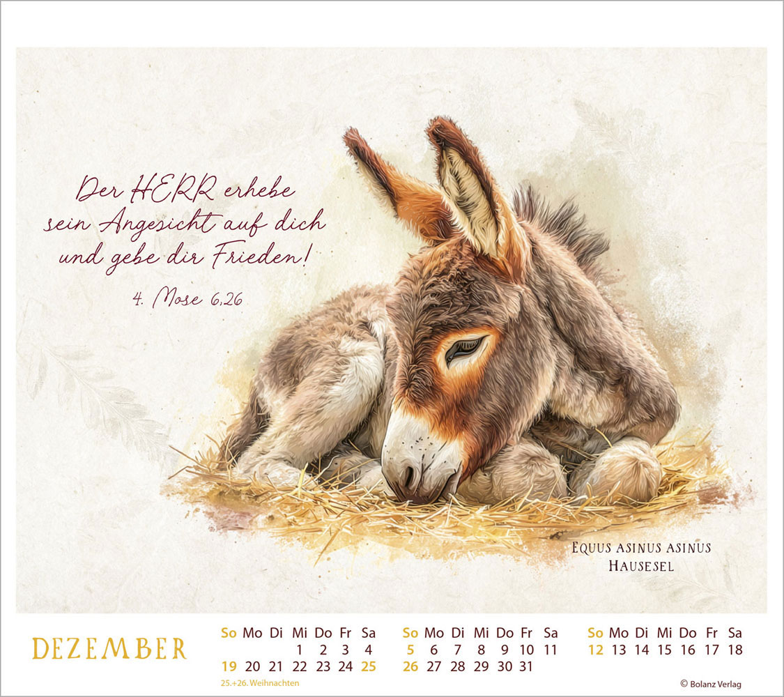 MeisterWerke des Schöpfers  2027 - Tischkalender