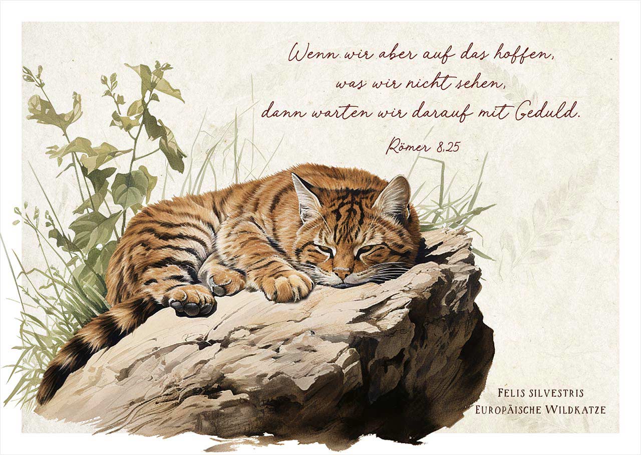 Postkarte "Warten mit Geduld"